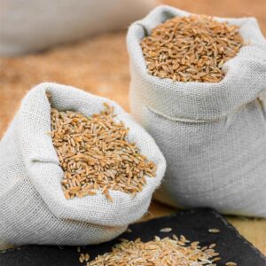 Khapli Wheat Grain