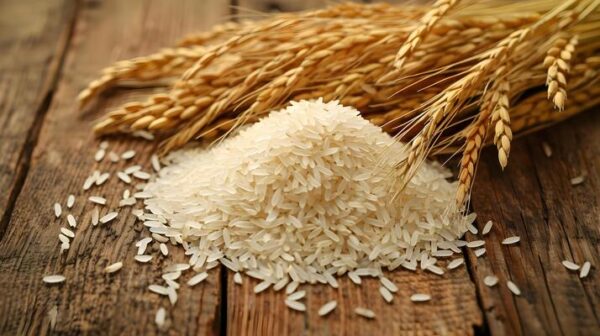 Long Rice Grain