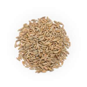 Rye