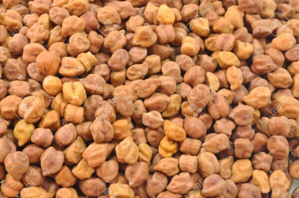 Bengal Gram (Chana)
