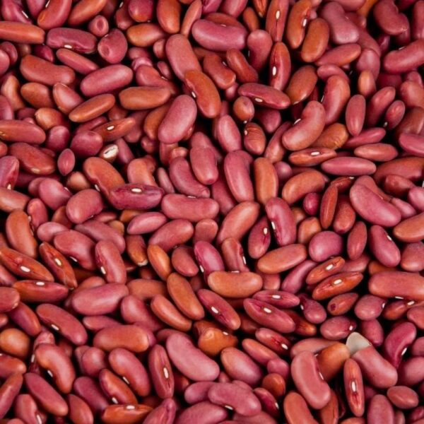Rajma