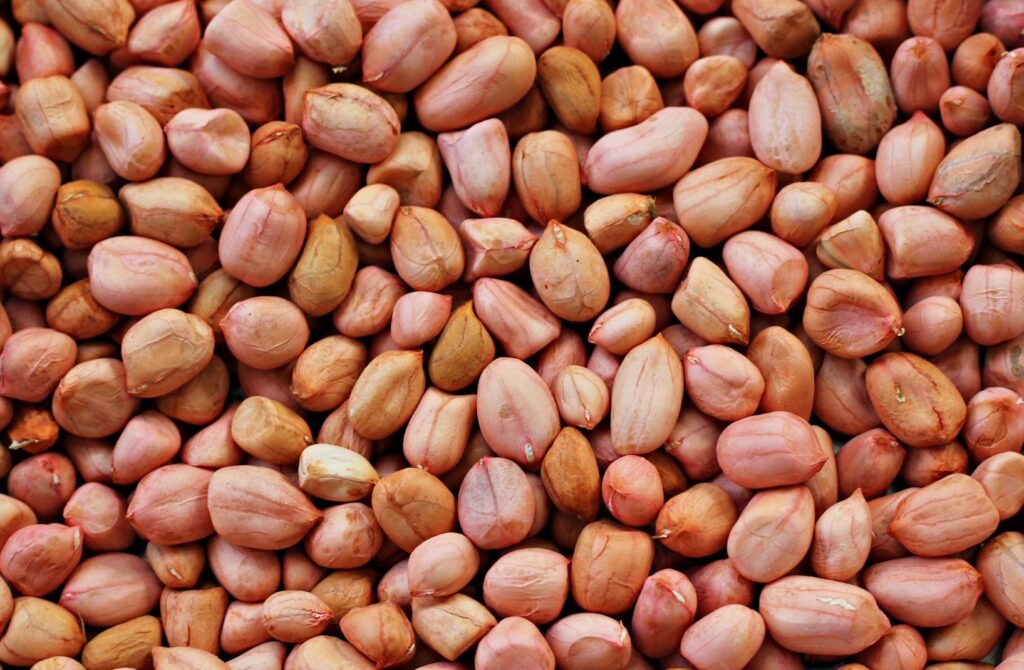 Groundnut (Seng)