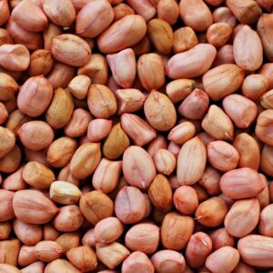 Groundnut (Seng)